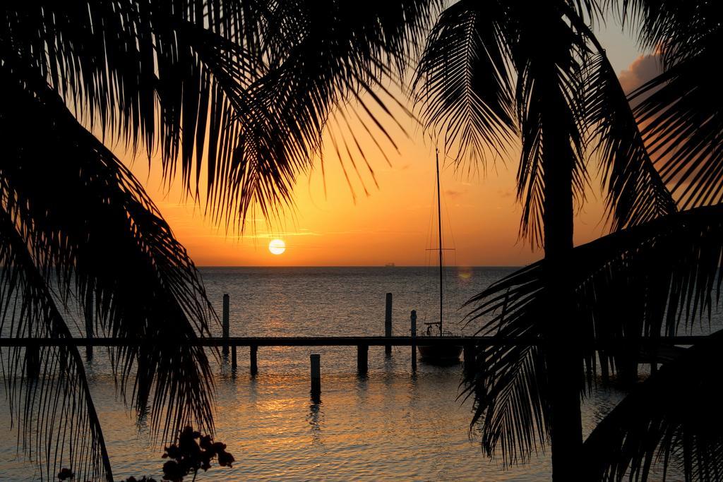 Отель Aruba Surfside Marina Ораньестад Экстерьер фото