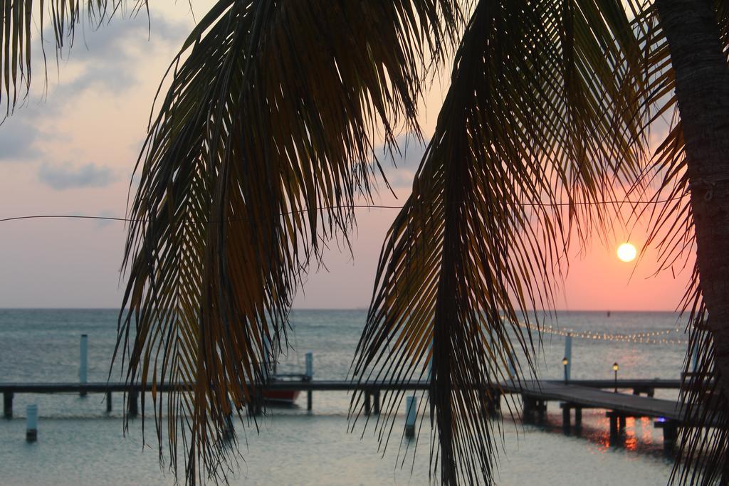 Отель Aruba Surfside Marina Ораньестад Экстерьер фото